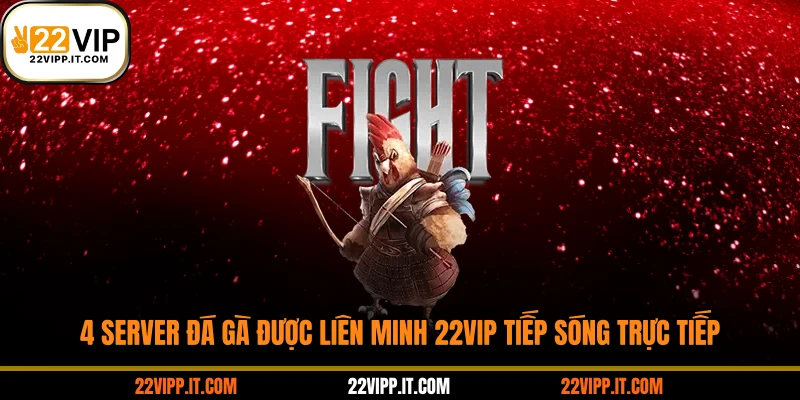 4 server đá gà được liên minh 22VIP tiếp sóng trực tiếp