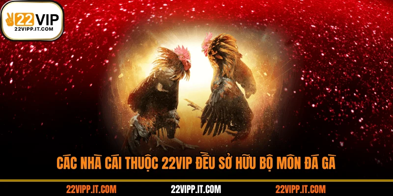 Các nhà cái thuộc 22VIP đều sở hữu bộ môn đá gà