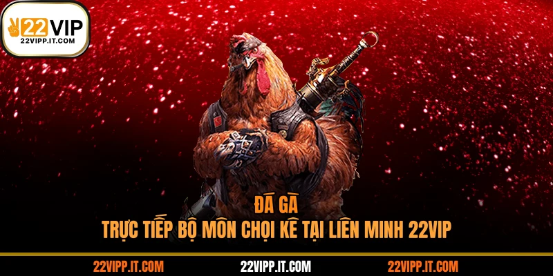 Đá Gà - Trực Tiếp Bộ Môn Chọi Kê Tại Liên Minh 22VIP