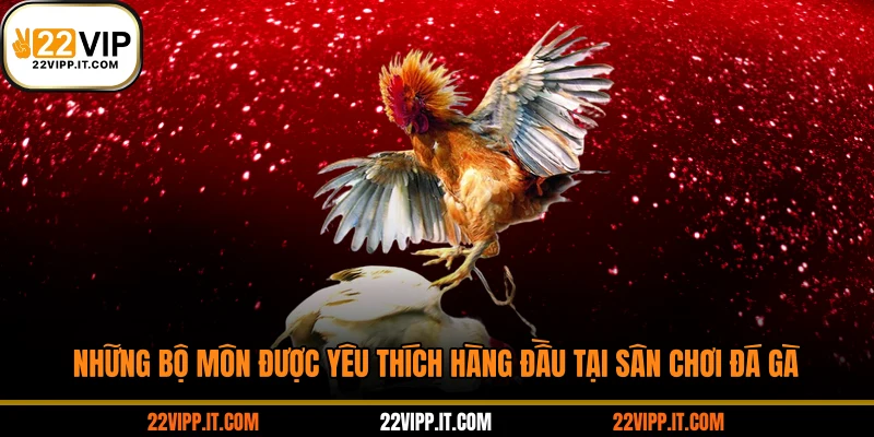 Những bộ môn được yêu thích hàng đầu tại sân chơi đá gà