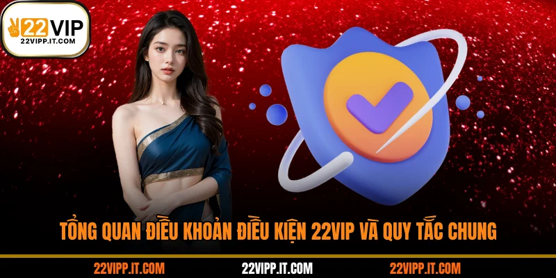 Tổng quan điều khoản điều kiện 22VIP và quy tắc chung